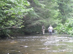 Doe River 28Jun09  34 
